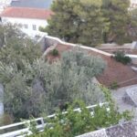 The-Garden-view-from-the-Central-Terrace-scaled.jpg